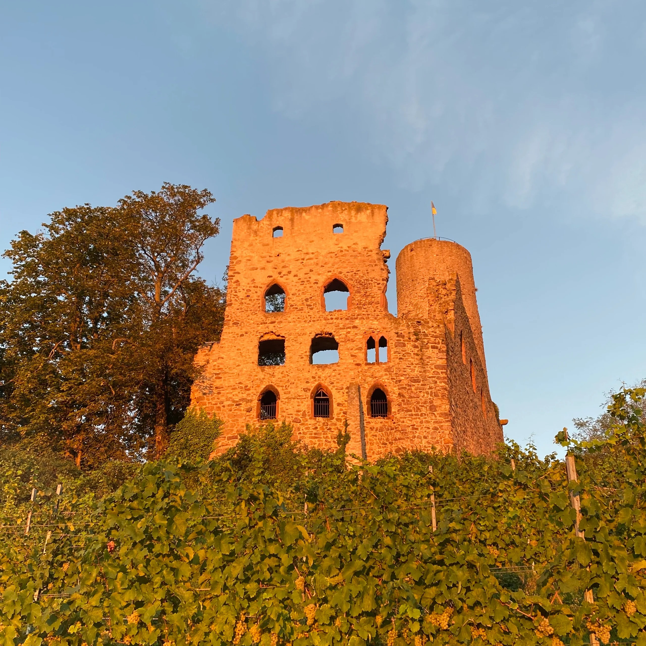 Hochzeit - Schwetzingen - Hotel Scheid