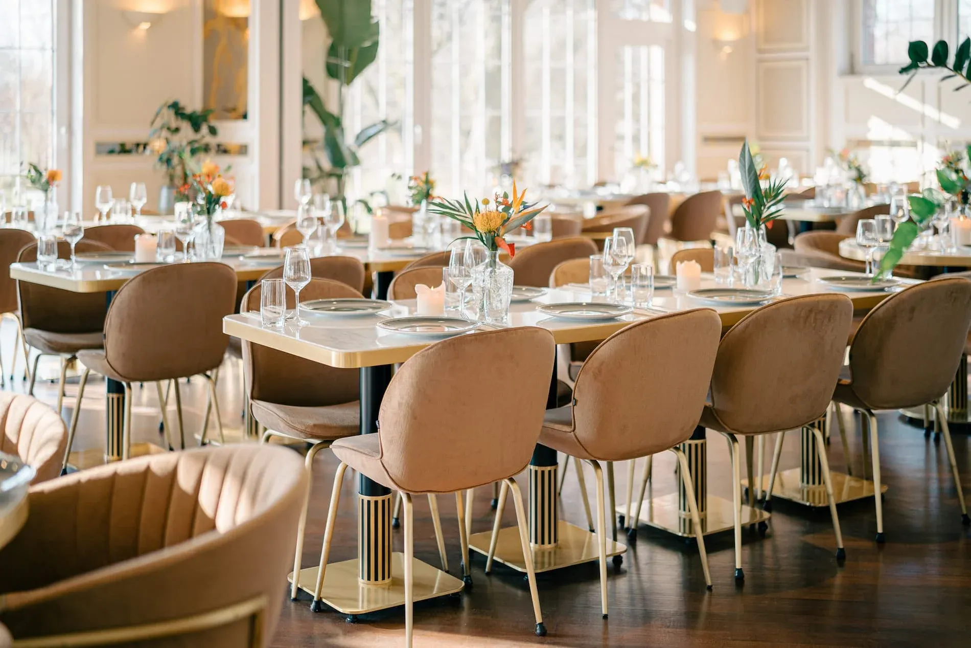 Matrimonio - Wuppertal - Deichgraf by Dr. Thompson's