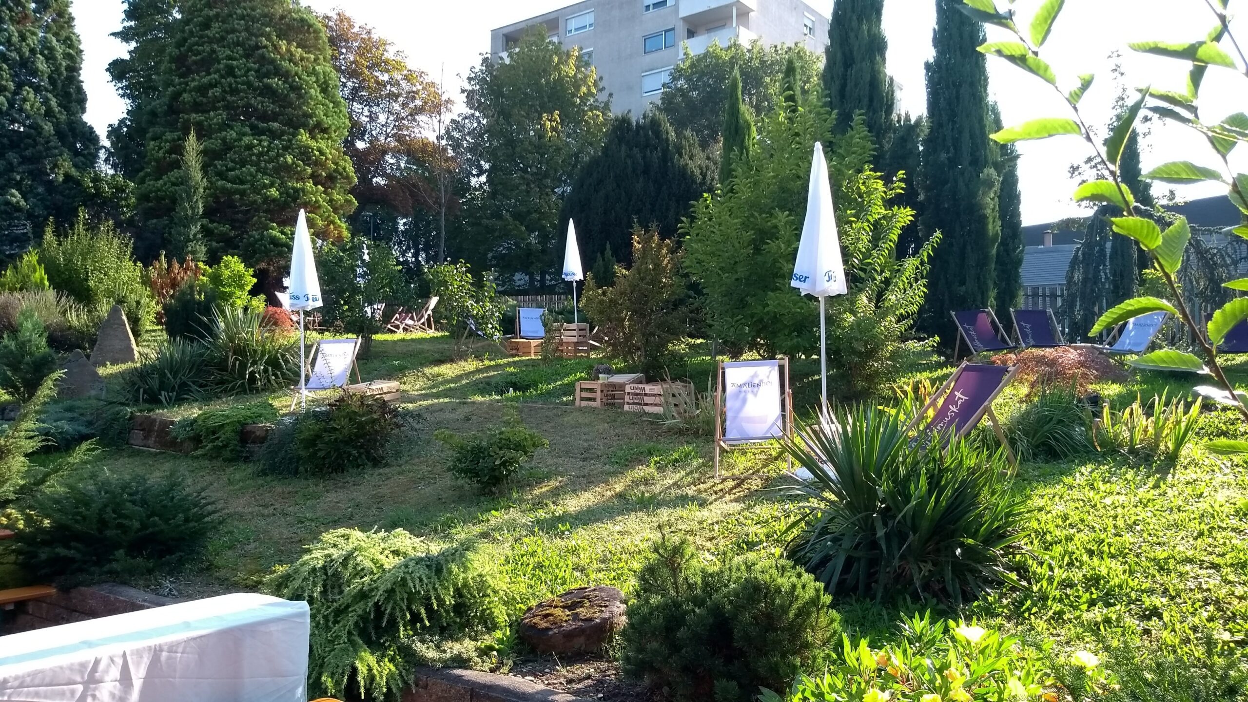 Mariage - Art der Location: Eventlocation - Weinbergblick Weingut Amalienhof