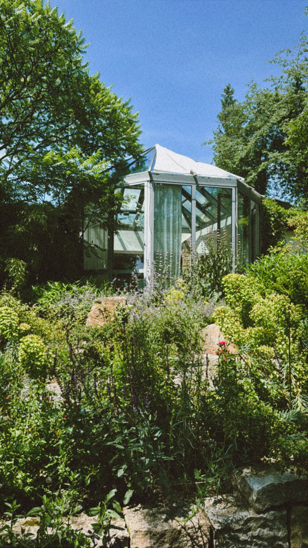 Wedding - Geeignet für: Eventlocation - Pavillon im Grünen - Leaves - Café & Eventlocation