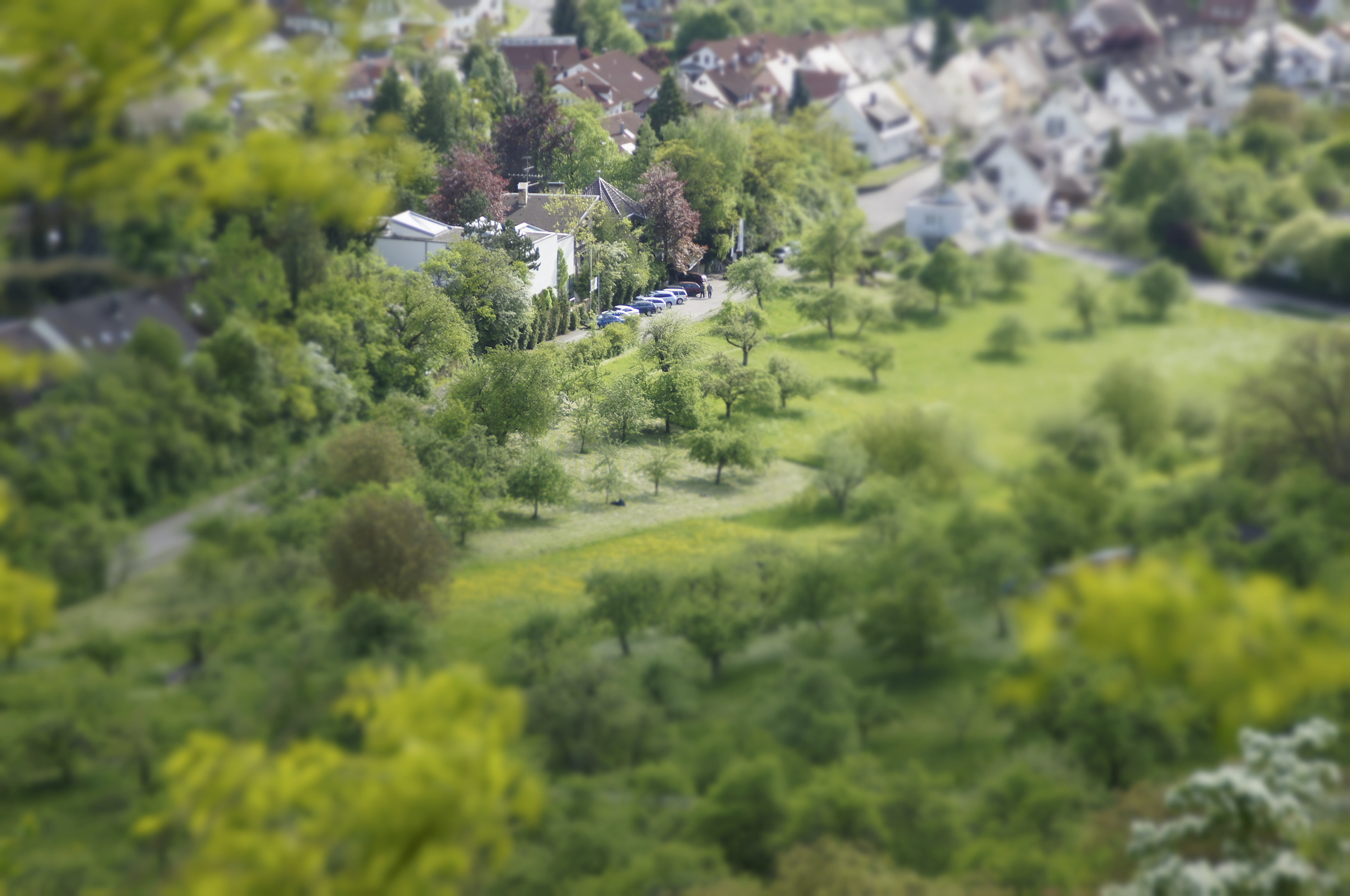 Hochzeit: Blick auf das Anwesen - Leaves - Café & Eventlocation