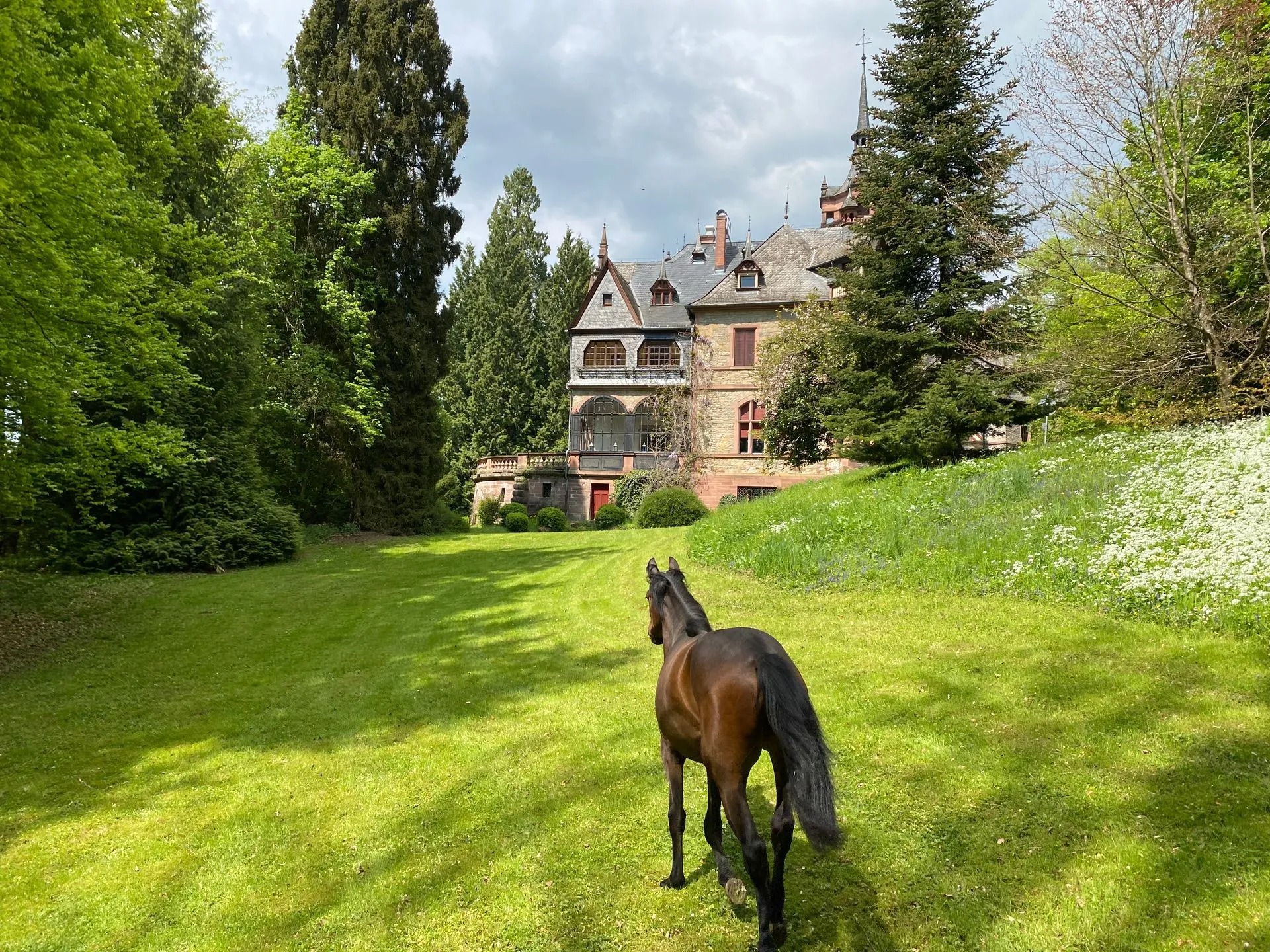 Hochzeit - Philippsburg - Schloss Langenzell