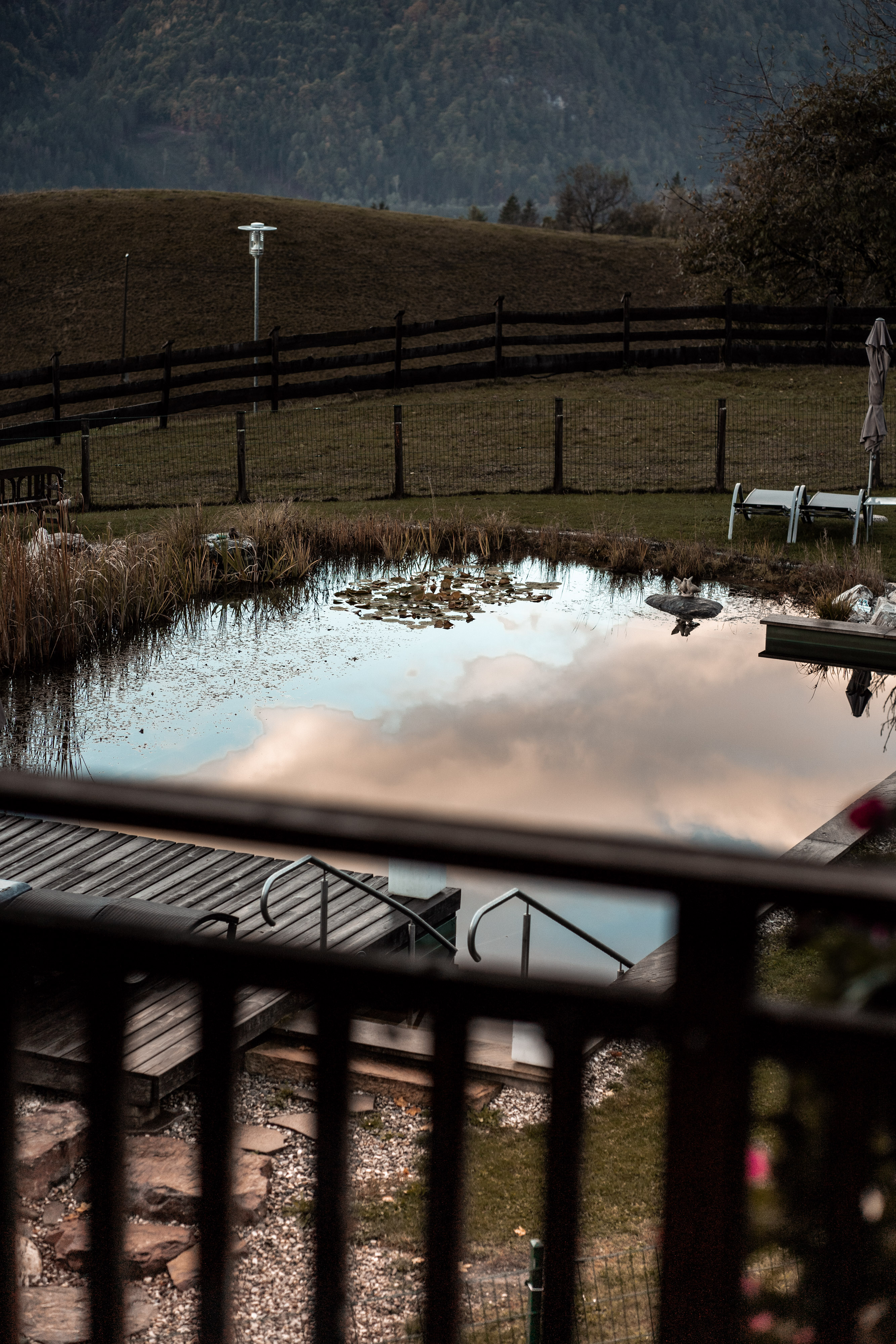 Hochzeit: Naturschwimmteich  - Naturhotel Landhof Irschen
