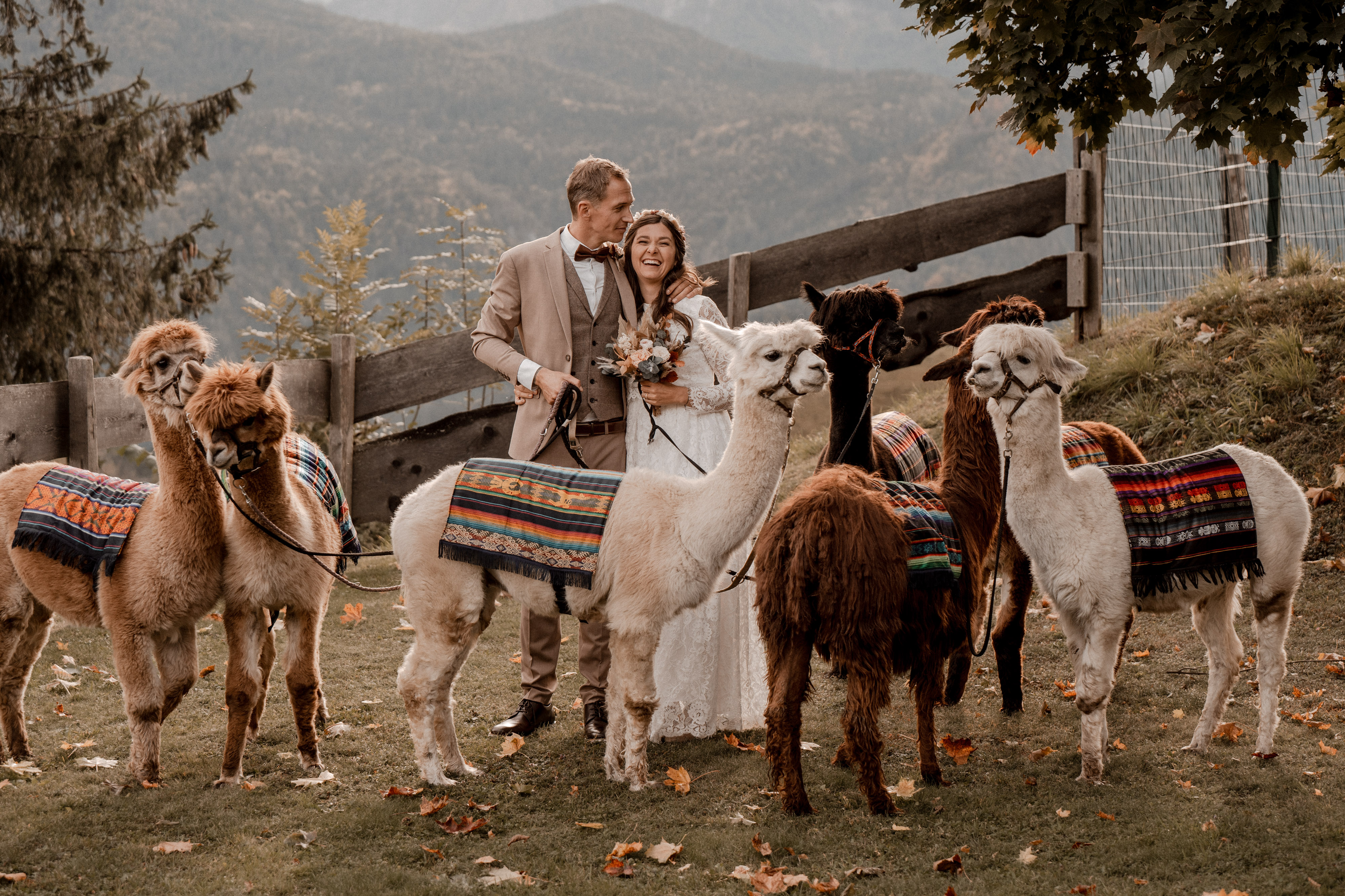 Hochzeit: Fotoshooting mit Alpakas  - Naturhotel Landhof Irschen