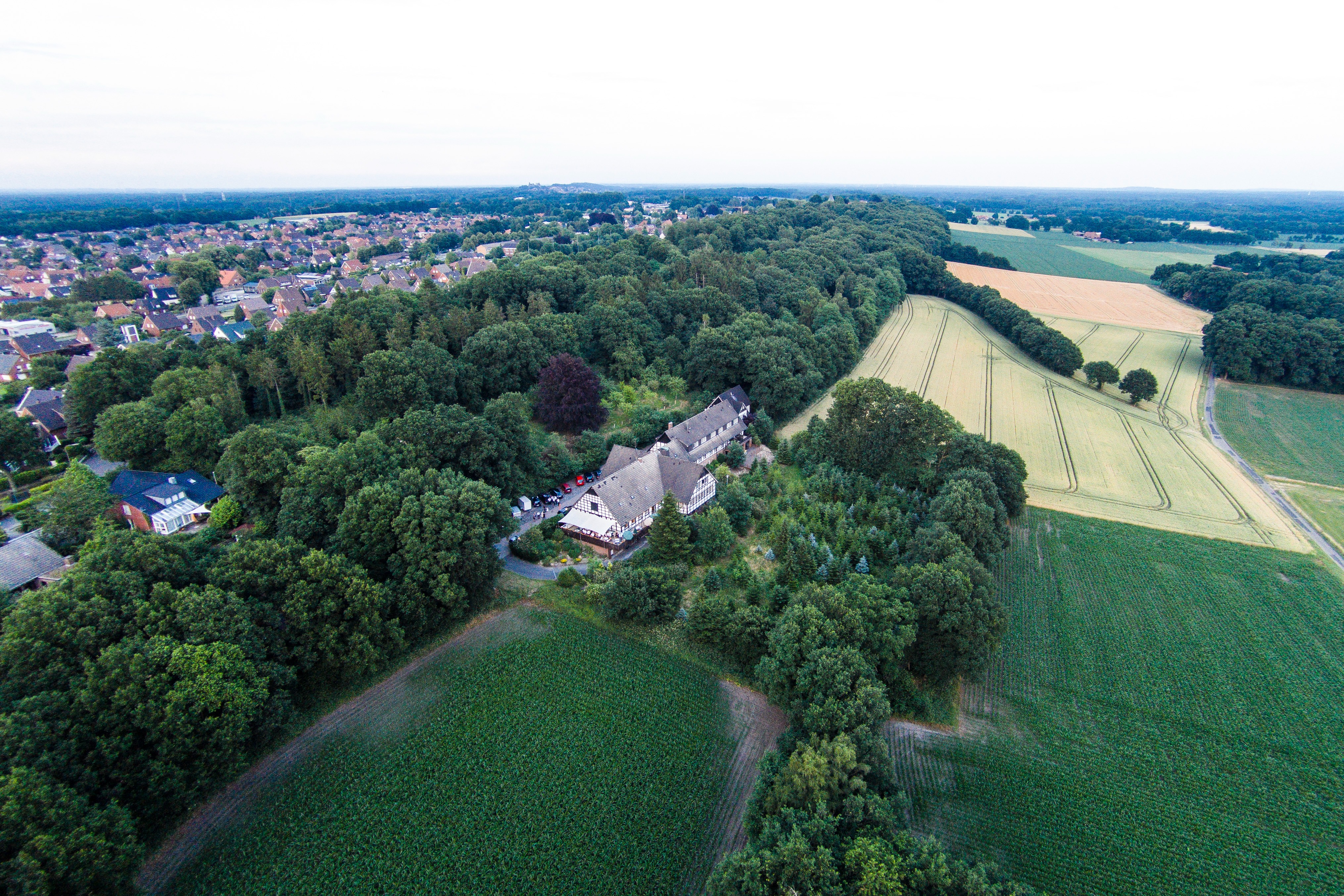 Wedding - Geeignet für: Seminare und Meetings - Hotel Niedersächsischer Hof