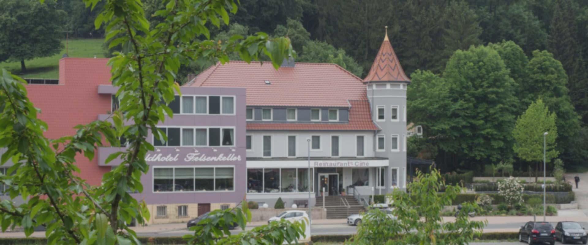 Hochzeit - Geeignet für: Seminare und Meetings - Waldhotel Felsenkeller