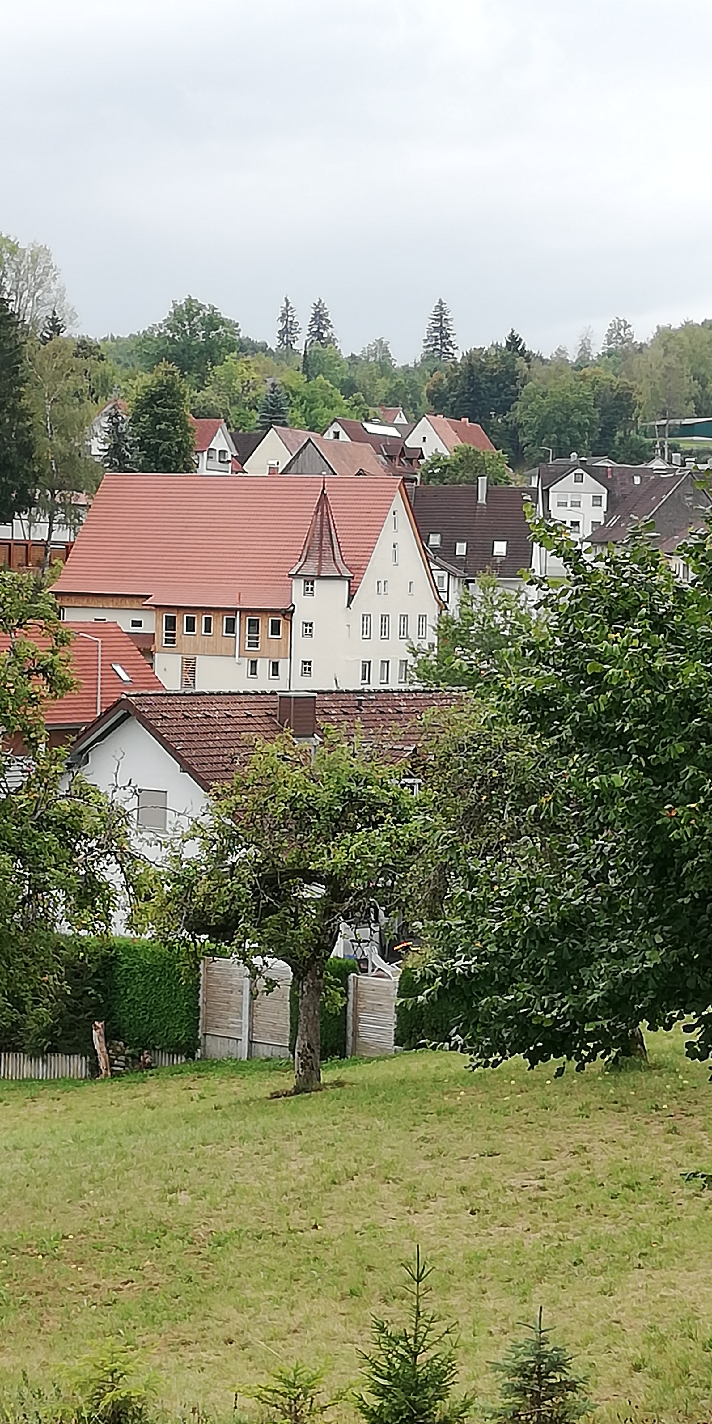 Hochzeit - PLZ 72355 (Deutschland) - Aus der Ferne - Löwen1834-Weilersbach