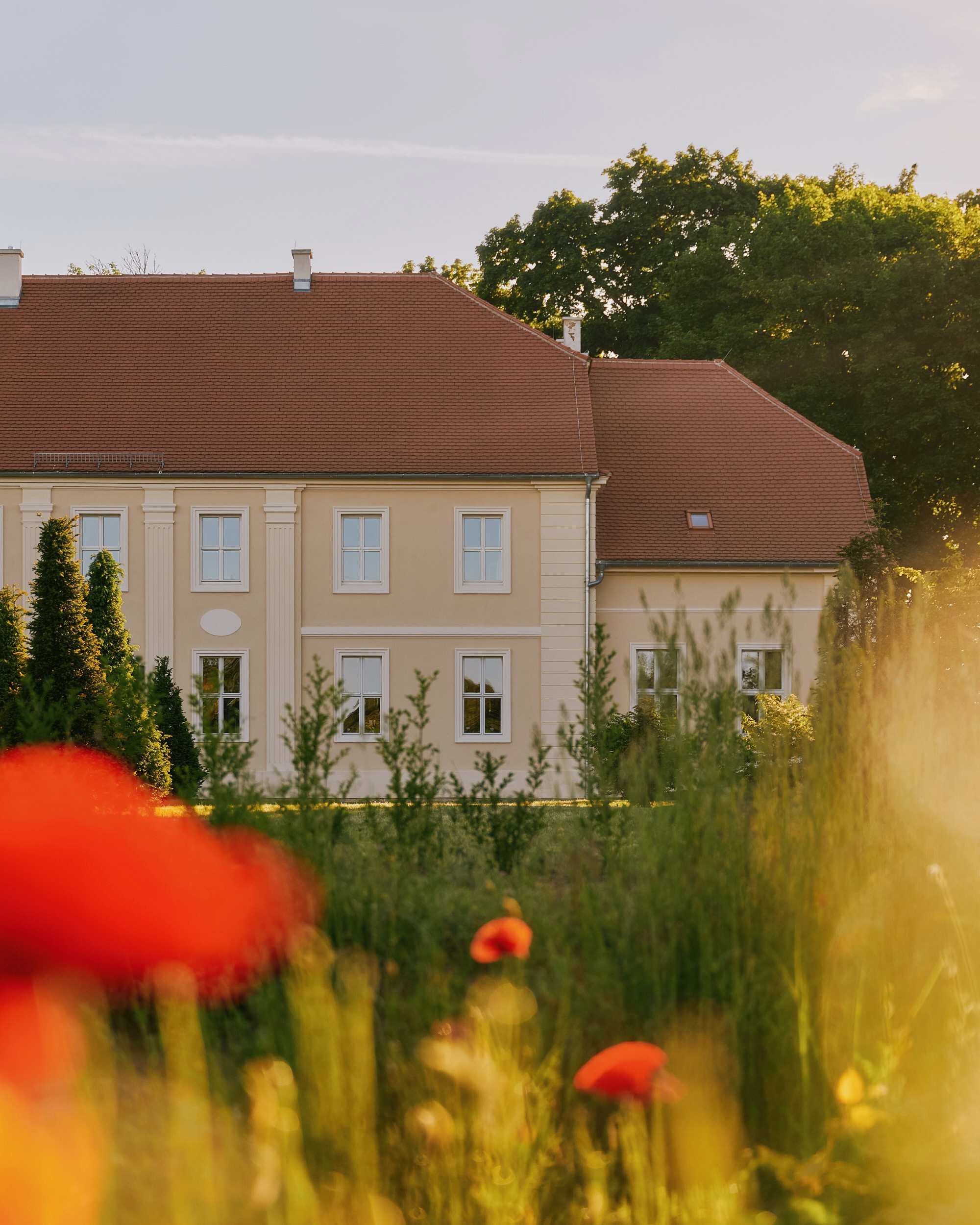 Hochzeit: Arboris im Gutshaus Blankenberg