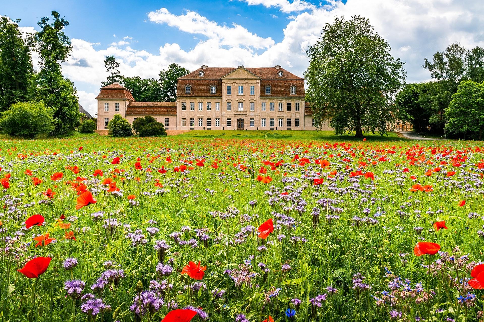 Wedding - Waren (Müritz) - Schloss Kummerow