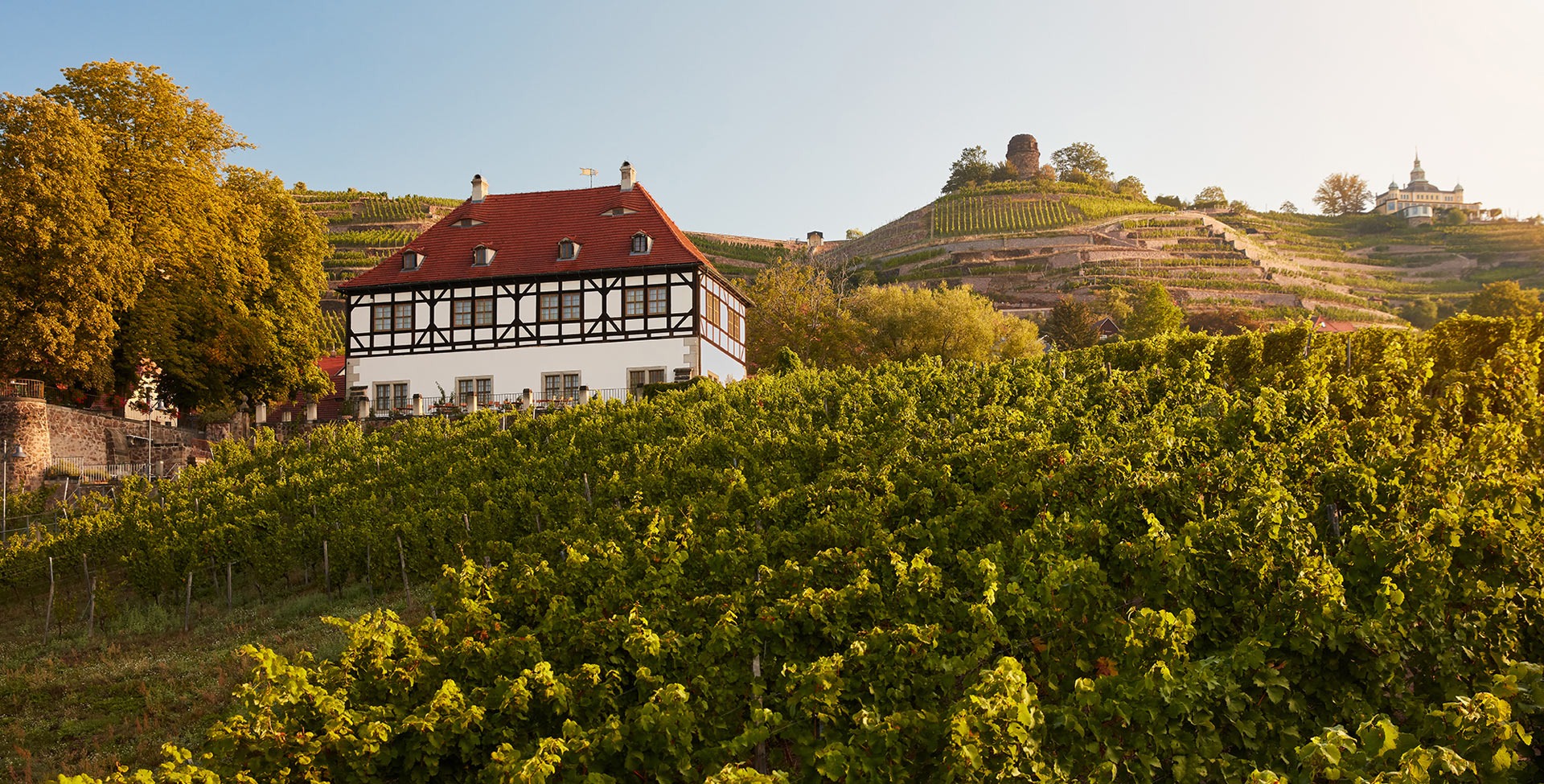 Hochzeit - Diesbar-Seußlitz - Weingut Hoflößnitz