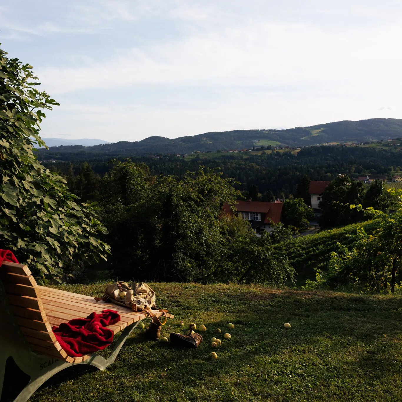 Hochzeit: Traumhochzeit in der Steiermark – freie Trauung mit Blick auf die Weinberge der HerrgottHö.  
 - HerrgottHÖ Winzerrestaurant & Bar