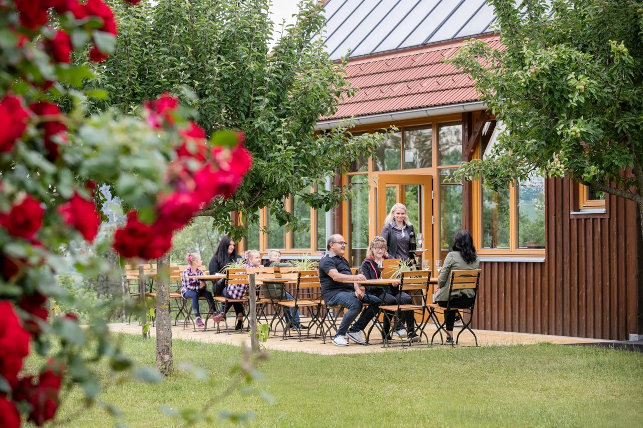JUFA Tieschen Informations sur les salles de bal terrasse ensoleillée
