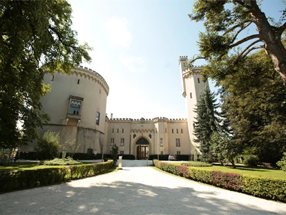 Hochzeit - PLZ 9155 (Österreich) - Heiraten im Schloss  - Schloss Wolfsberg