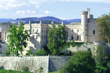 Hochzeit: Schloss Wolfsberg in Kärnten  - Schloss Wolfsberg