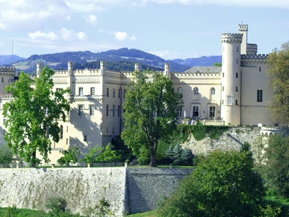 Hochzeit - PLZ 9155 (Österreich) - Schloss Wolfsberg in Kärnten  - Schloss Wolfsberg