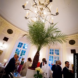 Hochzeit: Eine Hochzeit im Festsaal des Café-Restaurant Lusthaus im Wiener Prater.
Foto © greenlemon.at - Café-Restaurant Lusthaus