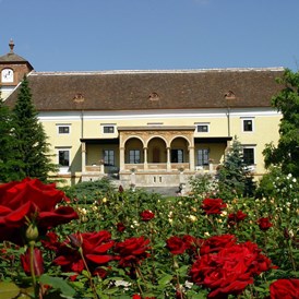 Hochzeit: Blick vom Rosengarten auf die Schloss Weikersdorfer Rosenterrasse.  - Hotel Schloss Weikersdorf