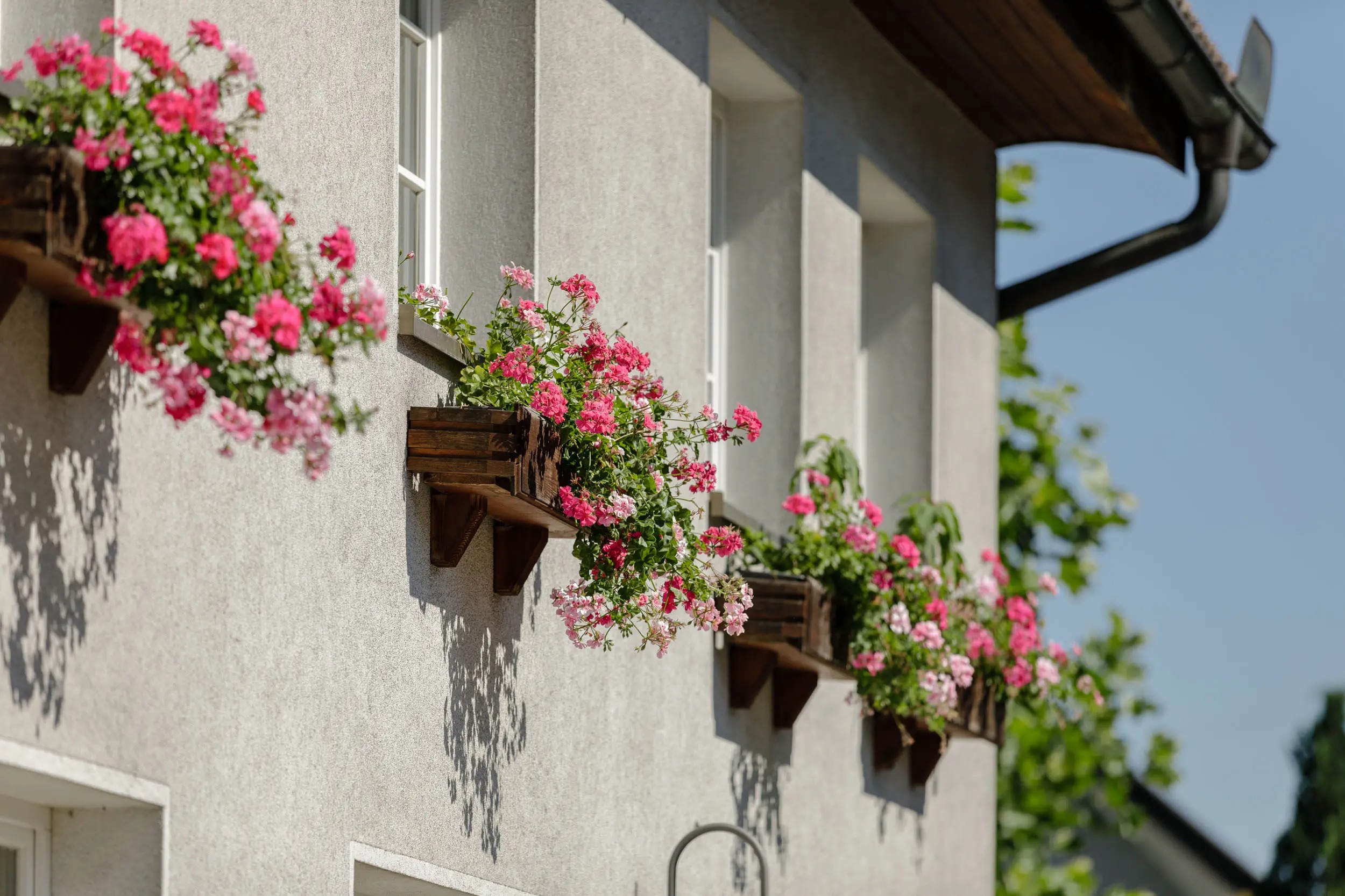 Hochzeit - PLZ 6830 (Österreich) - Hotel Gasthof Löwen