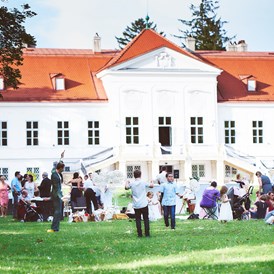 Hochzeit: Hochzeit im SCHLOSS Miller-Aichholz, Europahaus Wien. - Schloss Miller-Aichholz - Europahaus Wien