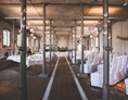 Hochzeit: Feiere deine Hochzeit in den hippen Räumen mit Backsteinwänden des ehemaligen Ochenstall vom Schloss Britz, Berlin. - Ochsenstall - Schloss Britz