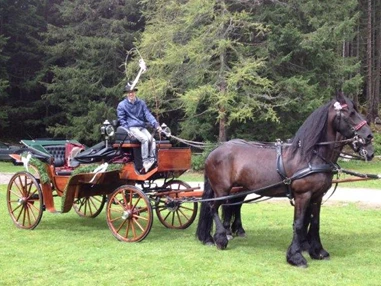Hochzeit: Heiraten auf der Unterhofalm in Filzmoos.  Mit der Kutsche direkt zum Standesamt am Almsee - Unterhofalm