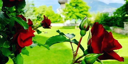 Hochzeit - Geeignet für: Geburtstagsfeier - Bezirk Spittal an der Drau - Blick in den Schlossgarten - Schloss Greifenburg
