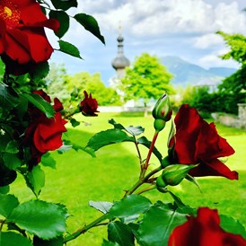Hochzeit: Blick in den Schlossgarten - Schloss Greifenburg
