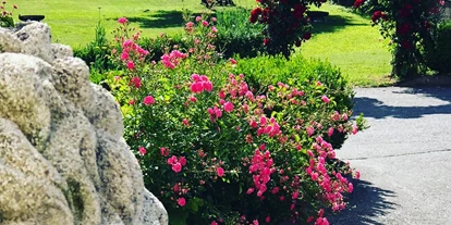Hochzeit - Geeignet für: Geburtstagsfeier - Bezirk Spittal an der Drau - Schloss Greifenburg