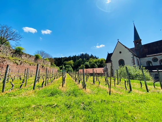 Hochzeitslocation: Hotel Kloster & Schloss Bronnbach