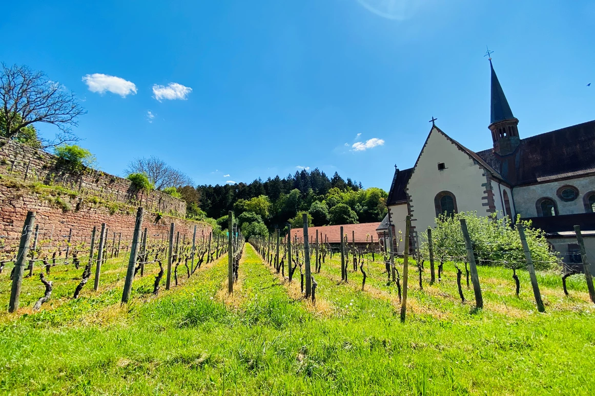 Hochzeitslocation: Hotel Kloster & Schloss Bronnbach