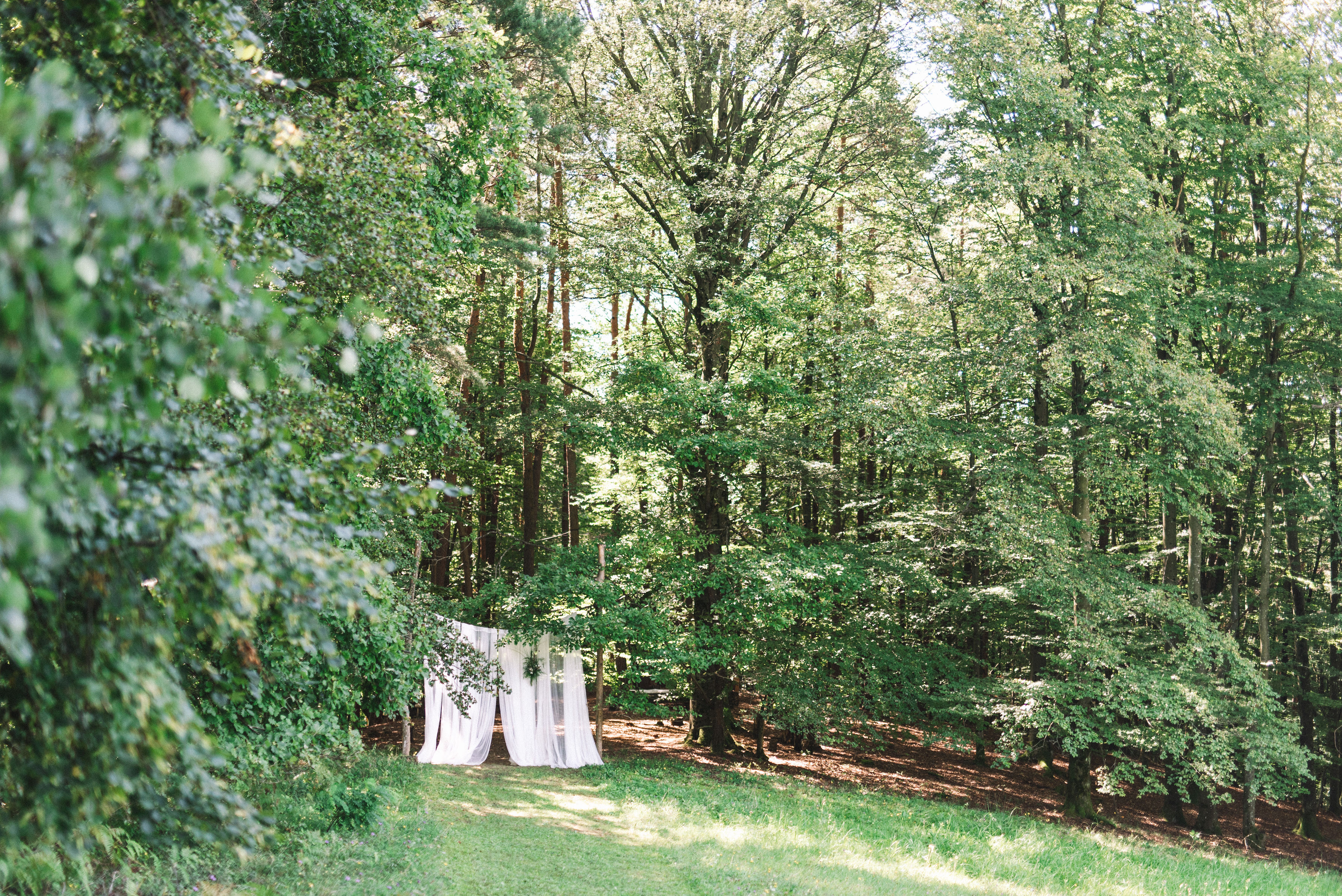 Hochzeit: Waldhochzeit