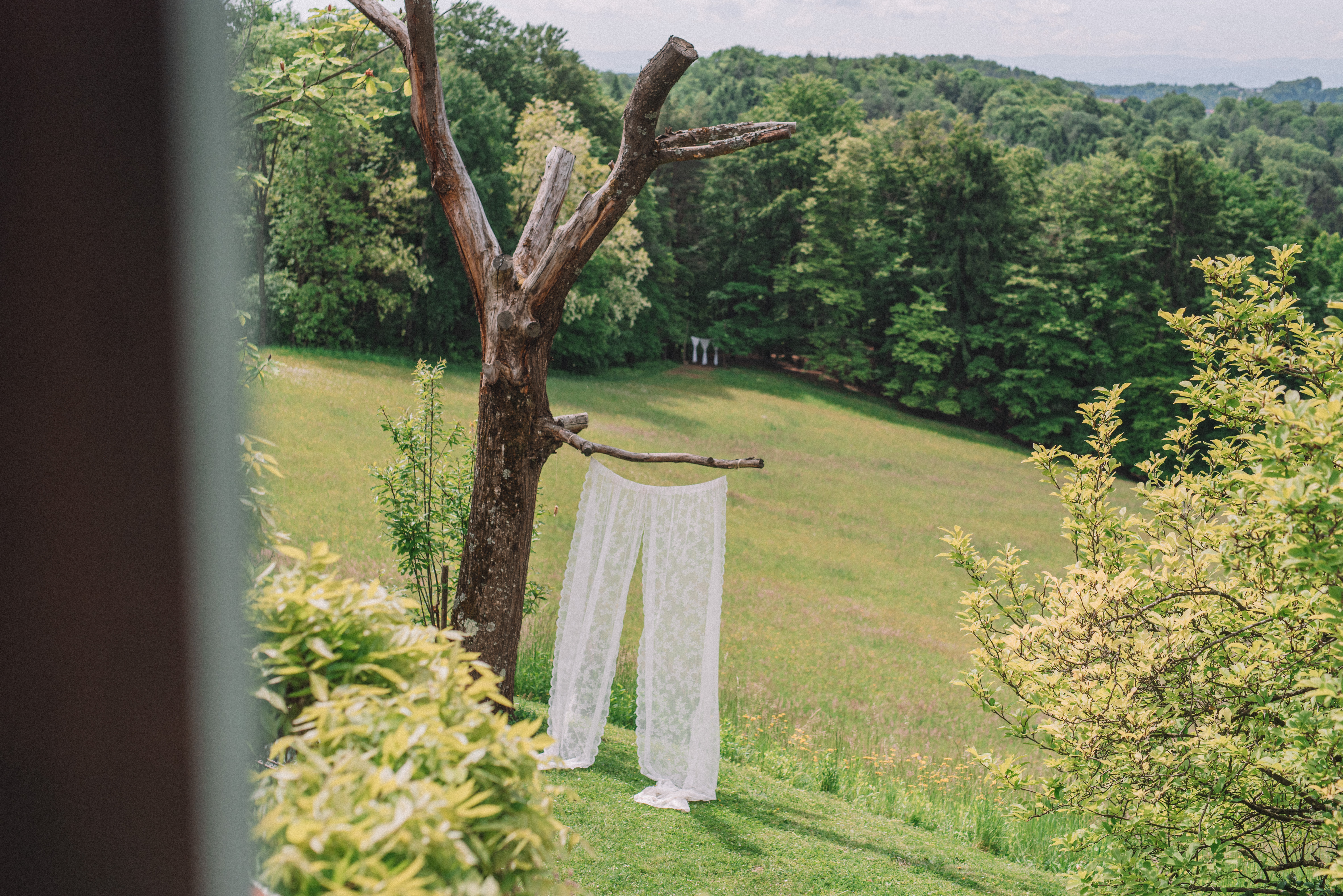 Hochzeit: Waldhochzeit