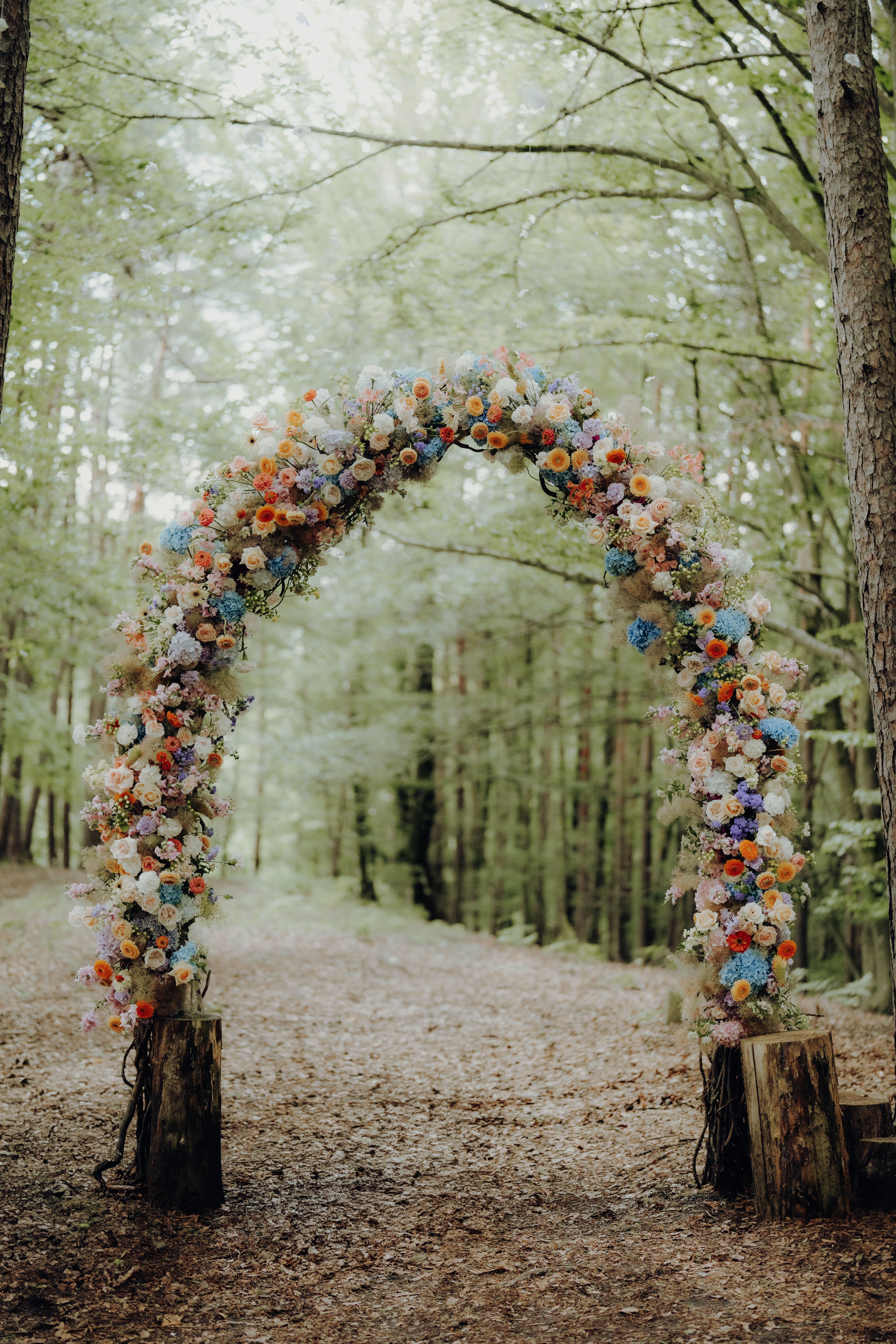Hochzeit: Waldhochzeit