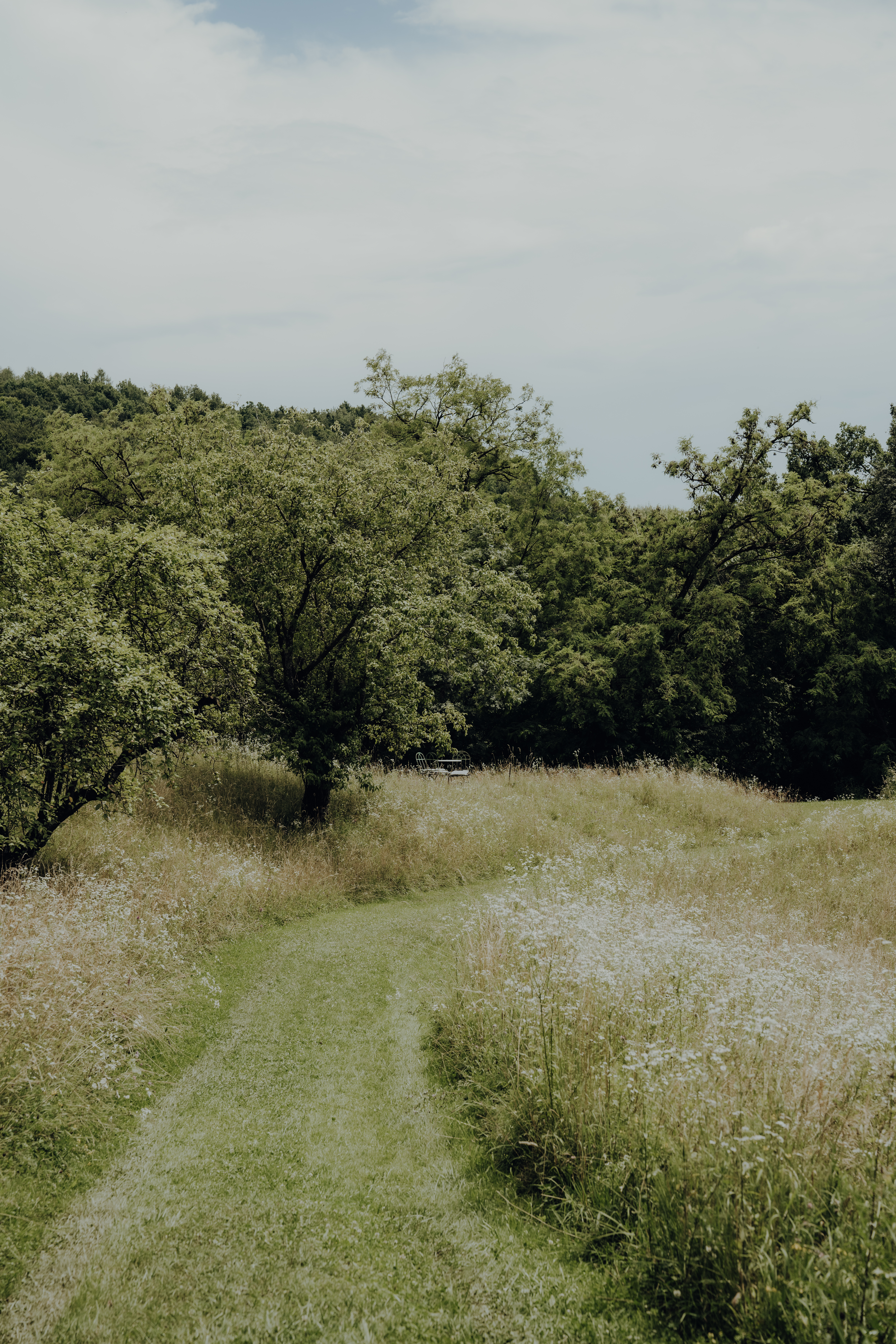 Hochzeit: Waldhochzeit