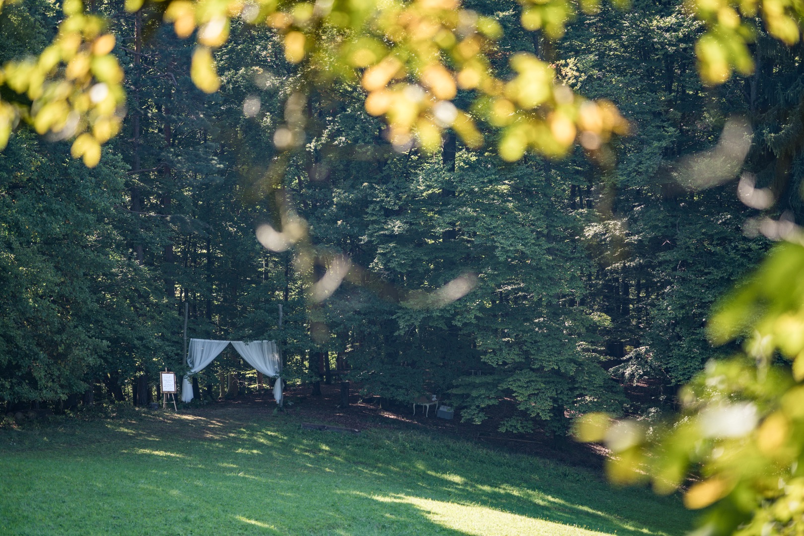 Hochzeit: Waldhochzeit