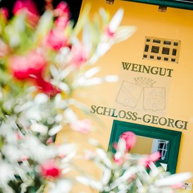 Hochzeit: Weingut Schloss Georgi - Georgi Schloss und Weingut