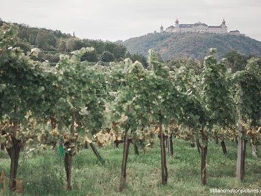 Hochzeit: Heiraten im Stift Göttweig in Niederösterreich.
Foto © stillandmotionpictures.com - Benediktinerstift Göttweig