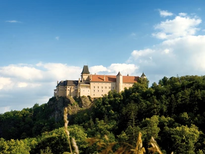 Matrimonio - Dürnstein - Heiraten in dem Renaissanceschloss Rosenburg in Niederösterreich. - Renaissanceschloss Rosenburg
