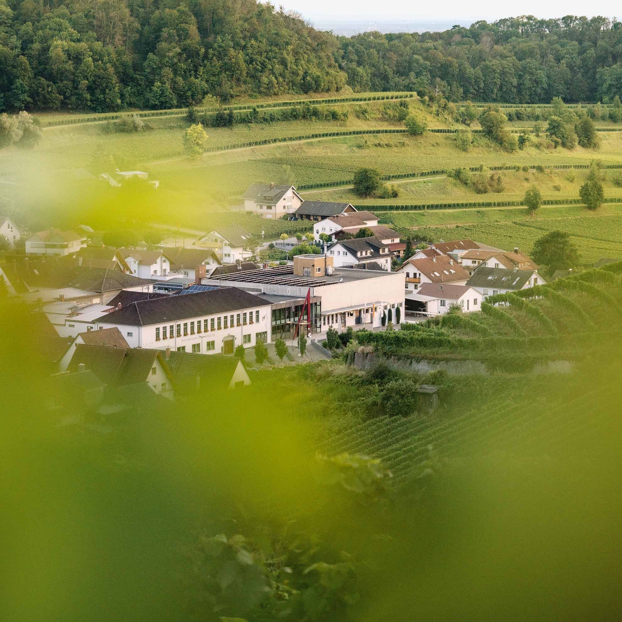 Hochzeit - Baden-Württemberg - Winzergenossenschaft Achkarren