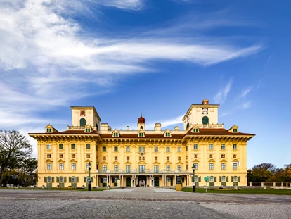 Wedding - Bad Sauerbrunn - Schloss Esterházy in Eisenstadt - Schloss Esterházy