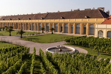 Hochzeit: Orangerie Schönbrunn