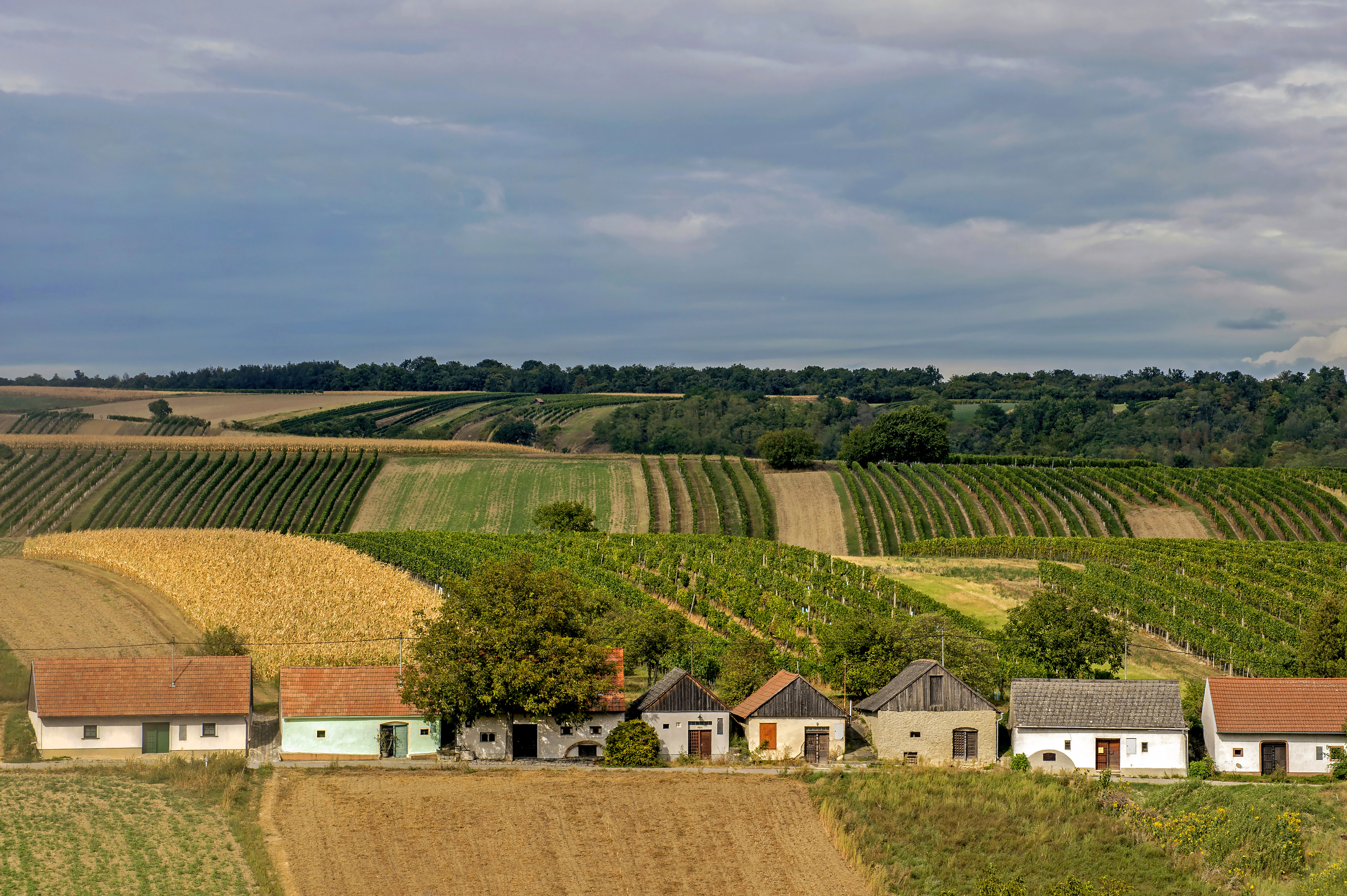 Hochzeit: Ortsbild - Rochussaal