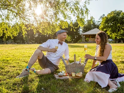 Wedding - Pottenbrunn - Unsere Trauungswiese - Mirli