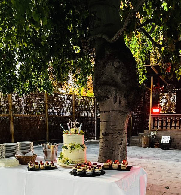 Hochzeit: Villa Blanca