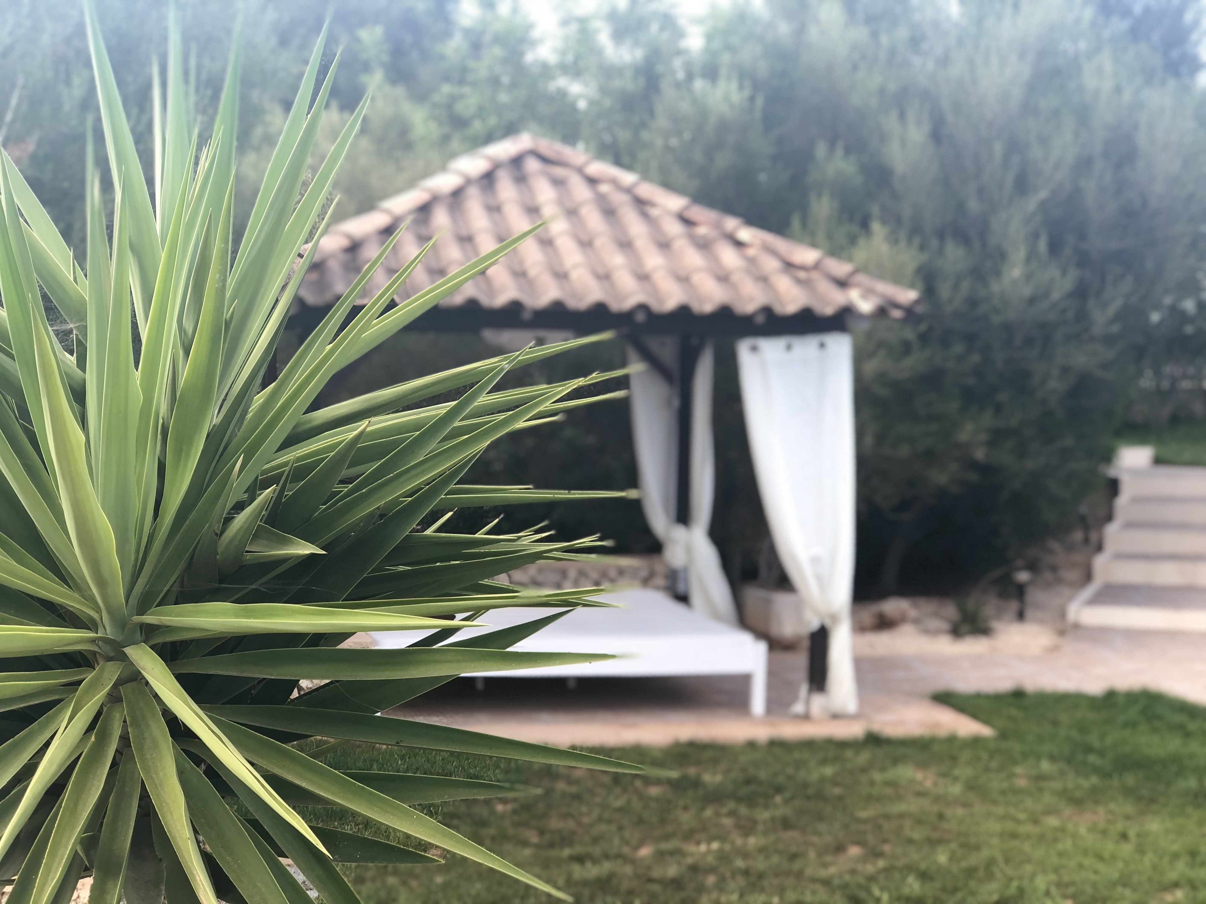 Mariage - les Îles Baléares - Eventfinca Mallorca