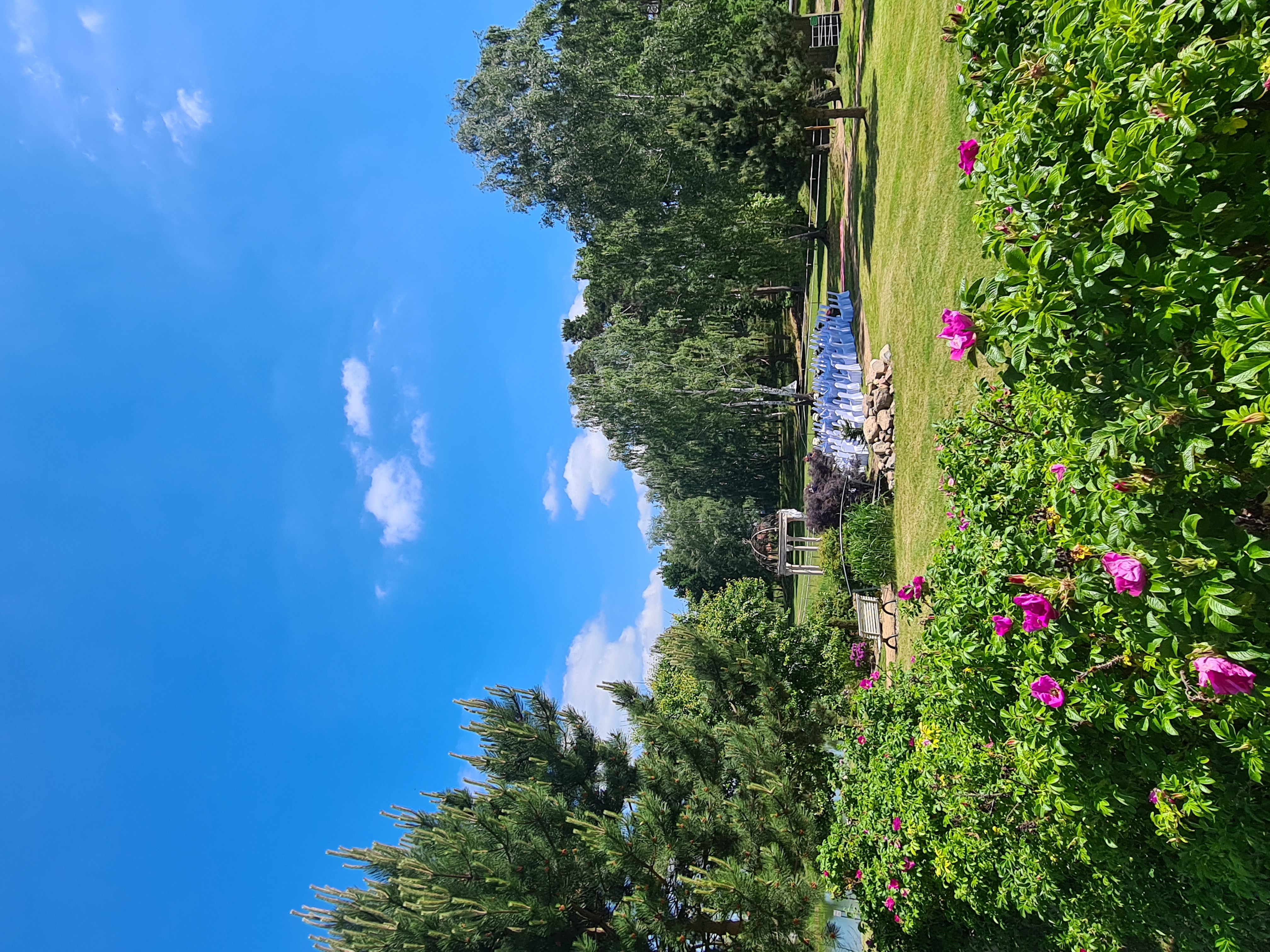 Hochzeitslocation: Haus Wildrose