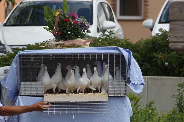 Hochzeitslocation: Haus Wildrose