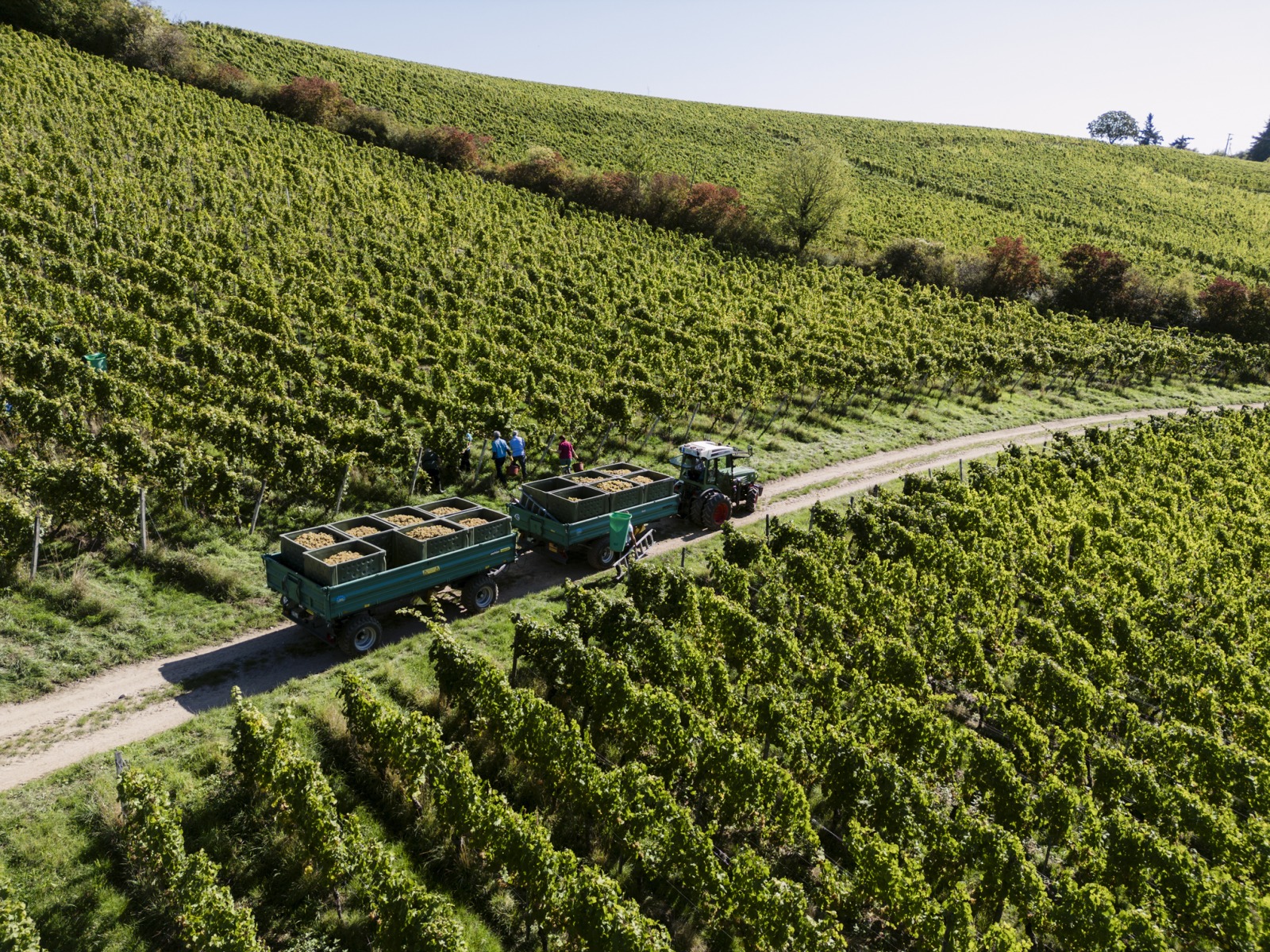 Bruiloft - Rheinhessen - Stiftung Kloster Eberbach