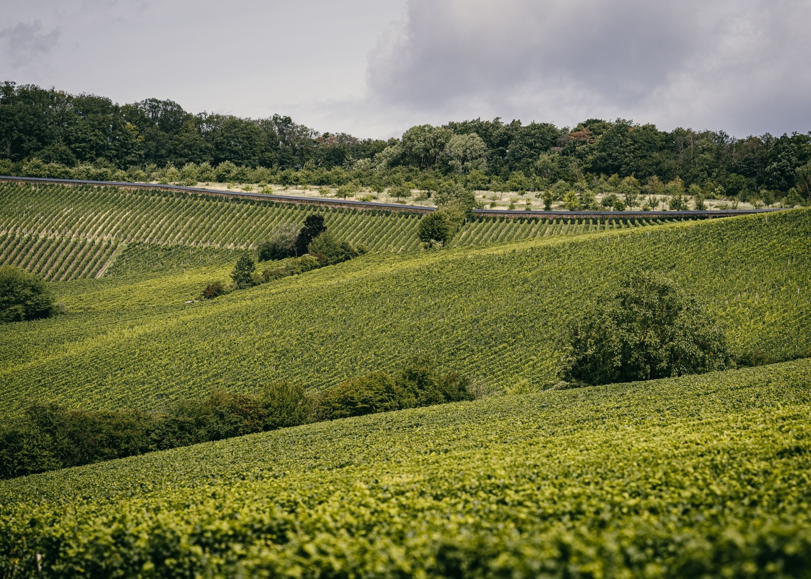 Bruiloft - Rheinhessen - Stiftung Kloster Eberbach