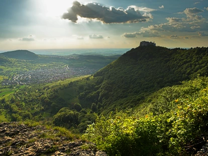 Mariage - Region Stuttgart - Burg1 - Burg Hohen Neuffen